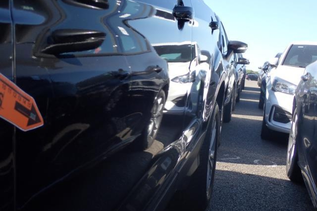 Ford Kuga 2019 фото 8