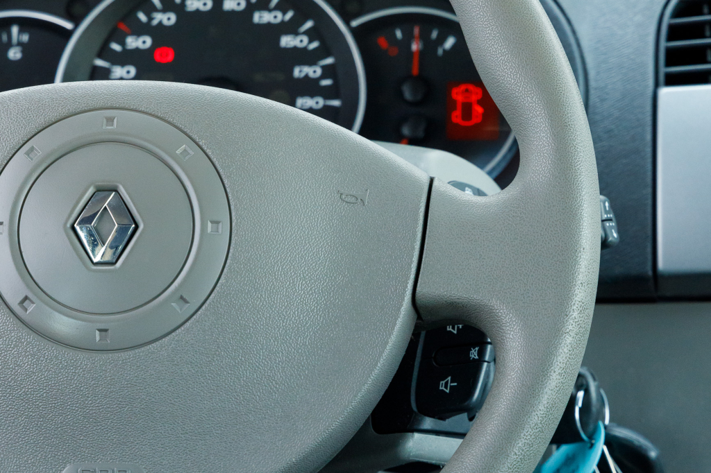 Renault Kangoo пасс. 2009 photo 8