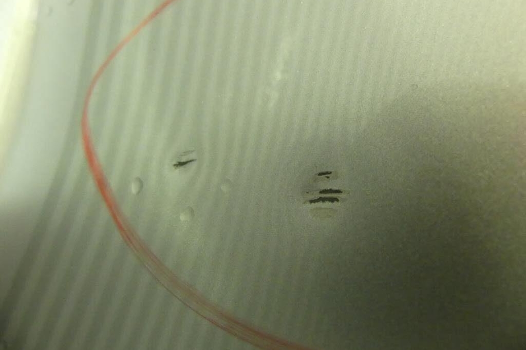 Opel Corsa 2017 photo 9