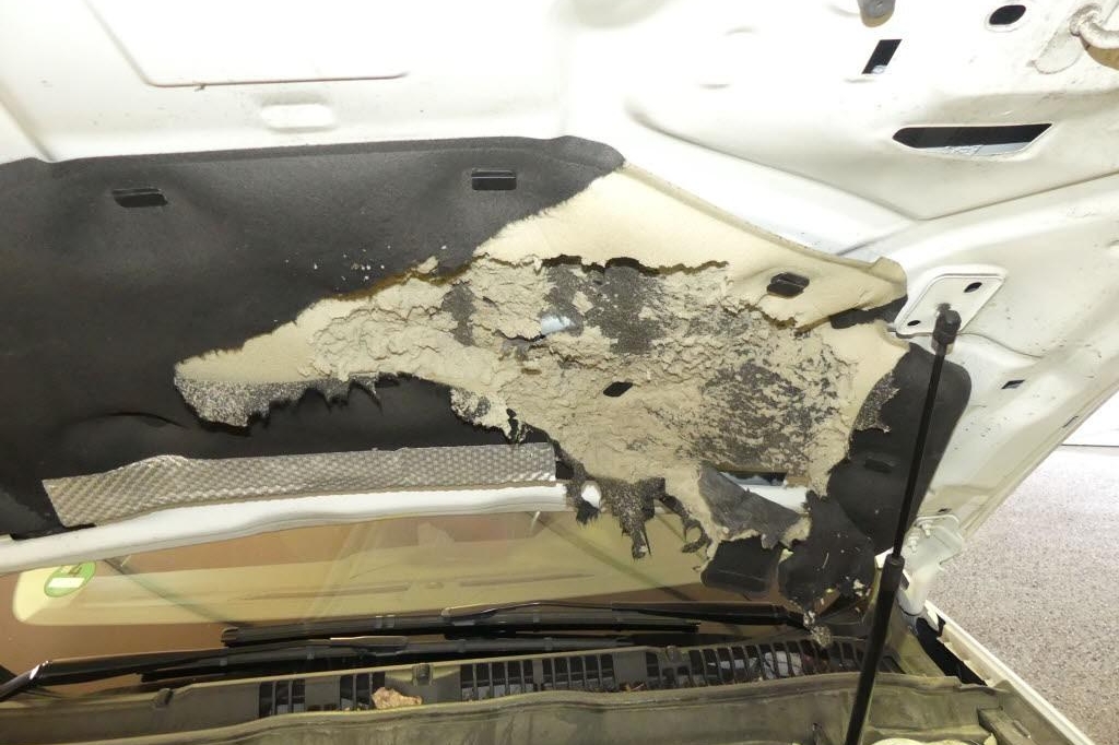 Ford Mondeo Turnier 2017 фото 19