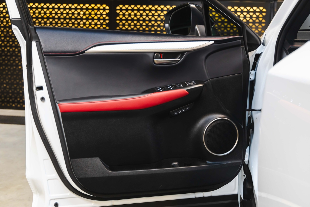 Lexus NX 300 F Sport 2018 photo 15