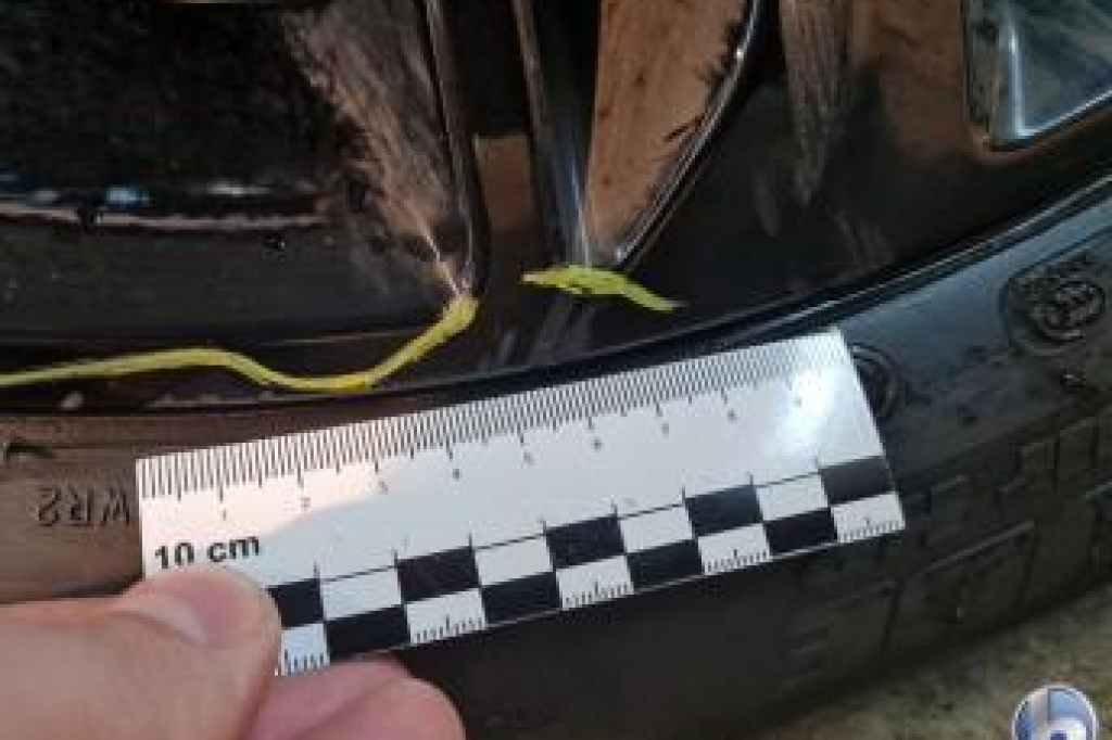 Land Rover Range Rover 2019 фото 28