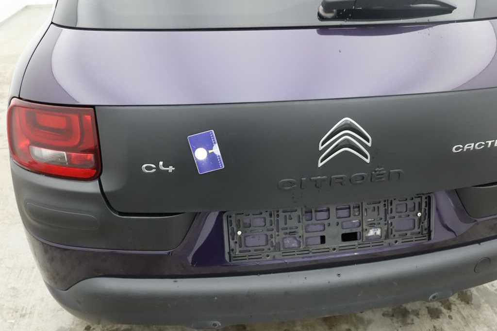 Citroen C4 Cactus 2016 фото 65