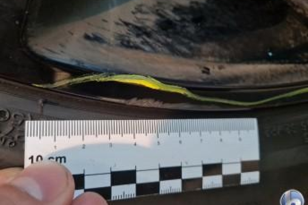 Land Rover Range Rover 2019 фото 33