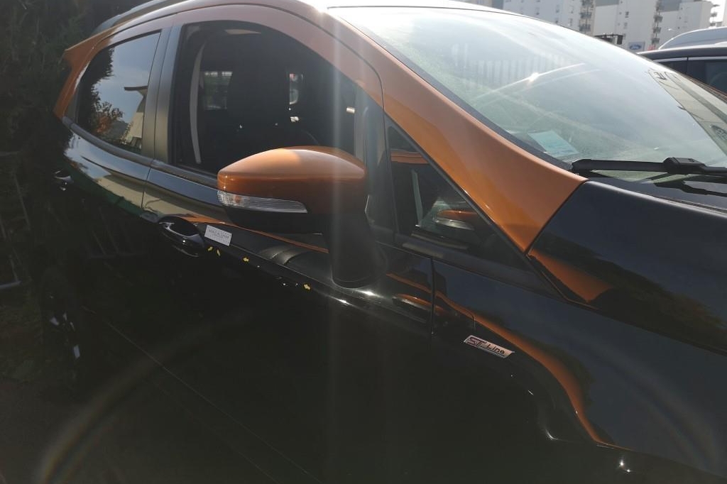 Ford EcoSport 2018 фото 10