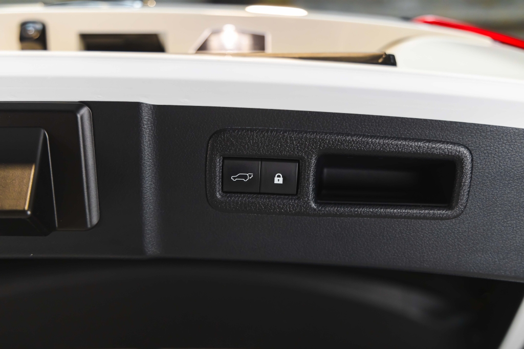 Lexus NX 300 F Sport 2018 photo 37