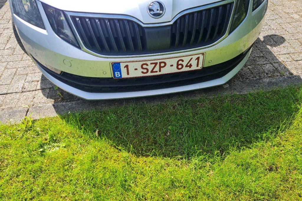 Skoda Octavia Combi 2017 photo 18