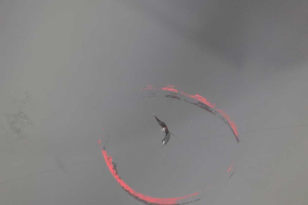 Mercedes-Benz B-Klasse 2017 photo 17