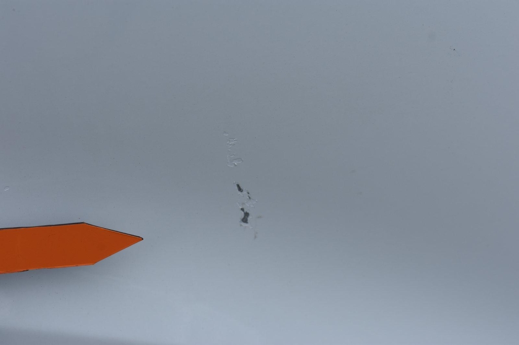 Ford Transit Koffer 2018 фото 9