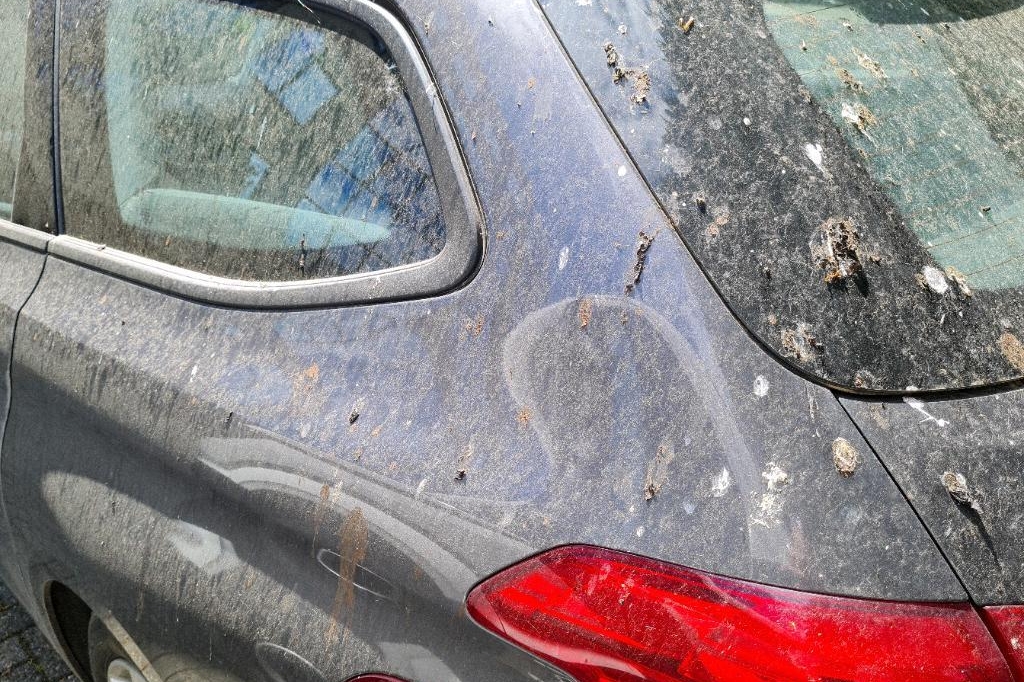 Peugeot 308SW 2016 фото 14