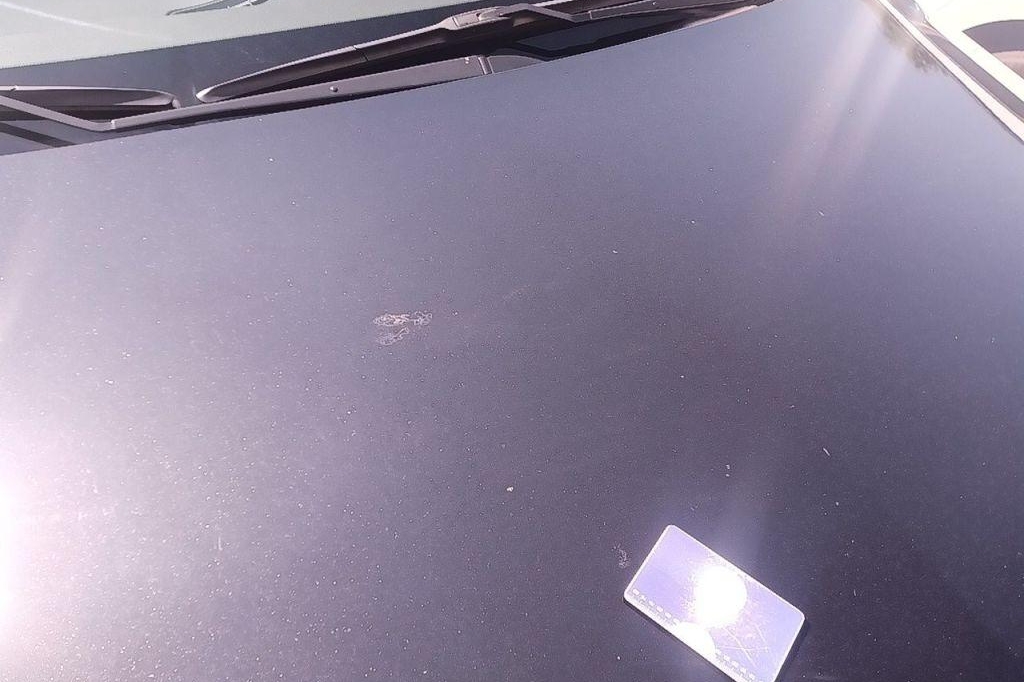 Opel Insignia 2016 photo 17