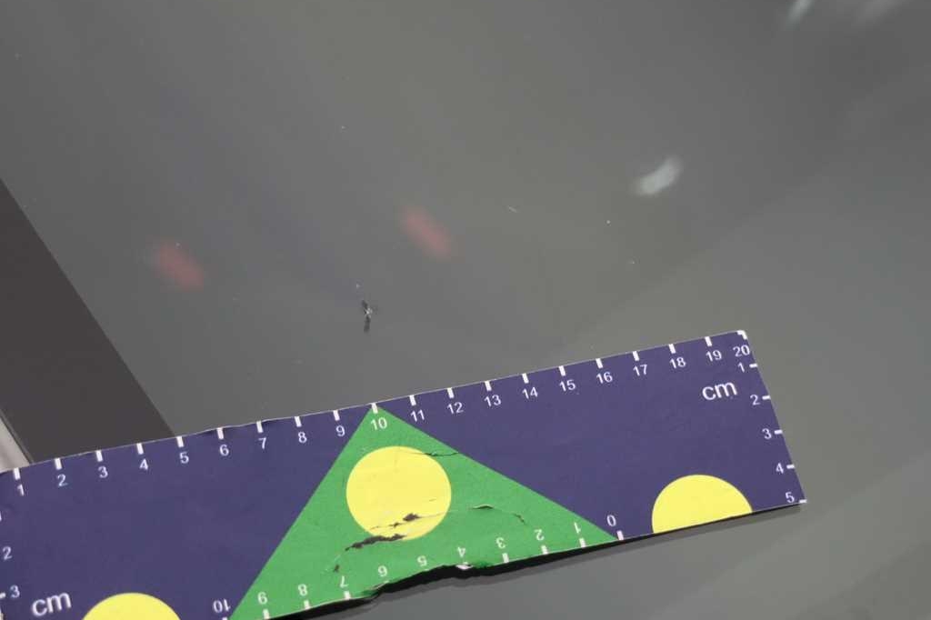 Renault Clio 2017 фото 13