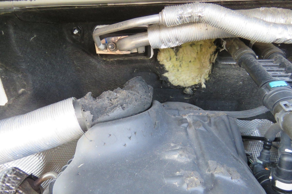 Ford Transit Kasten 2018 фото 20