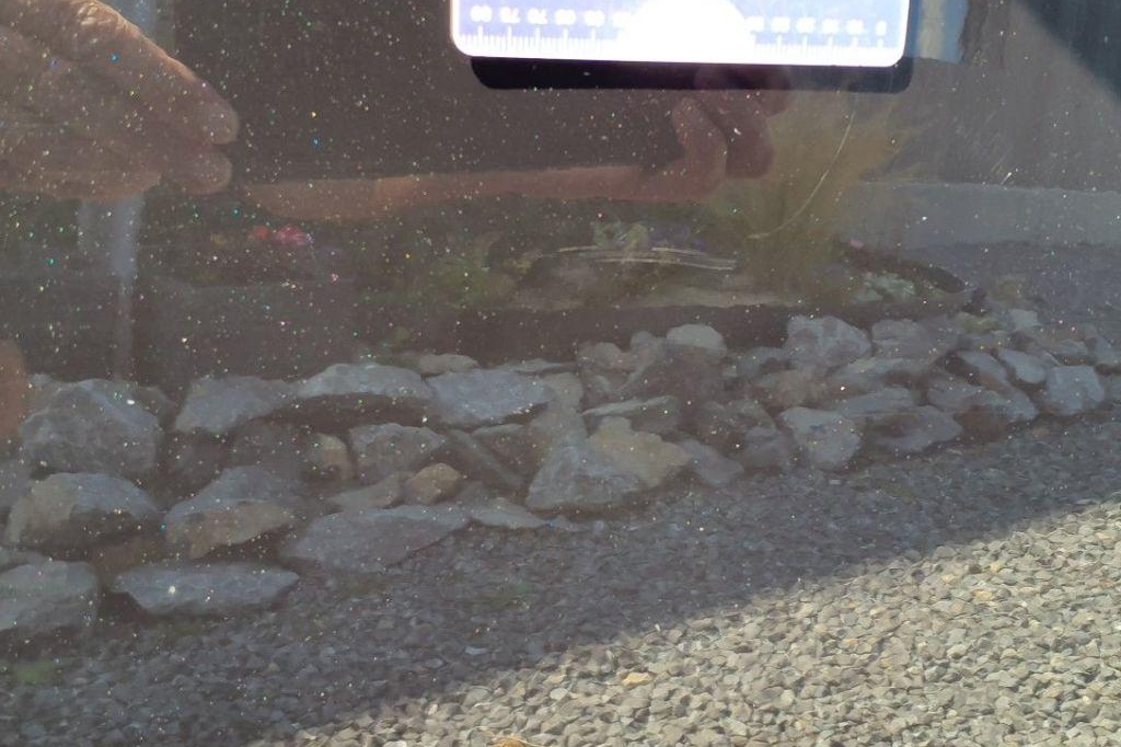 Volvo XC60 2016 photo 10