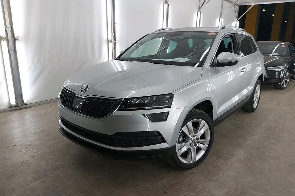 Skoda Karoq 2019 photo 5