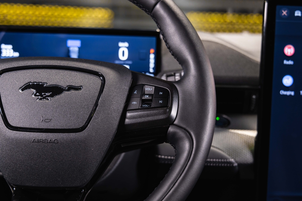 Ford Mustang Mach-E 2022 photo 25