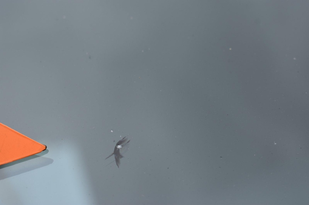 Renault Master Kasten 2019 photo 16