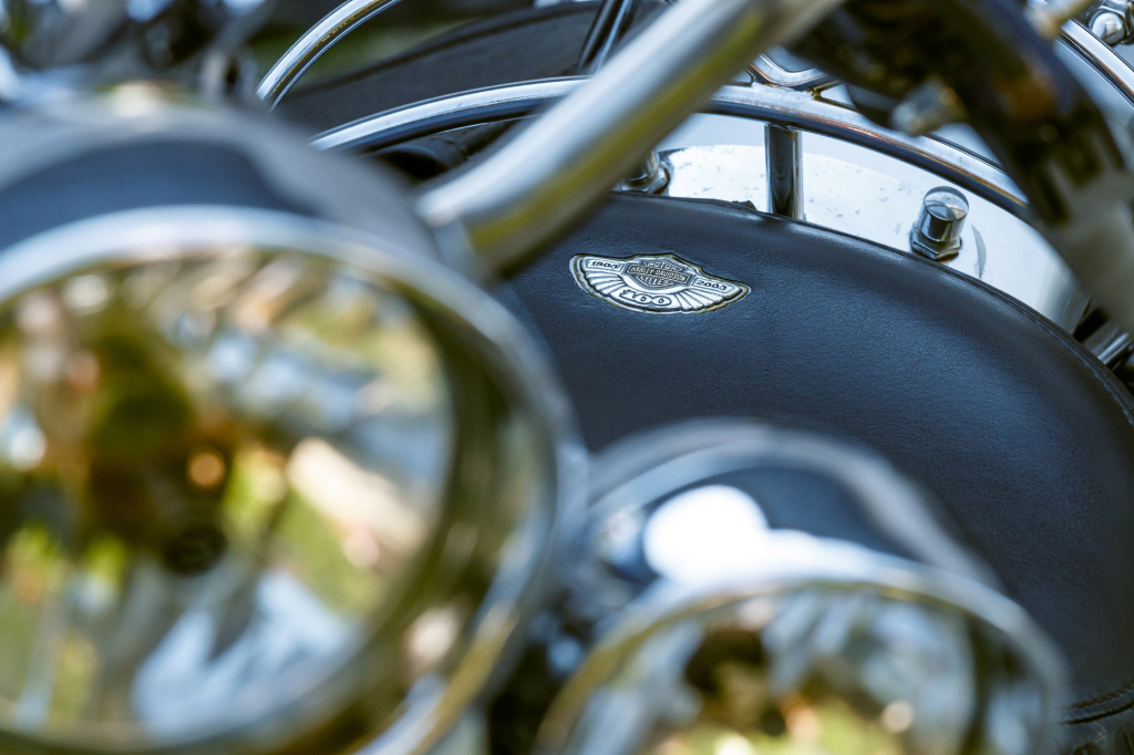 Harley-Davidson 1450 Heritage Softail Springer 2003 фото 17