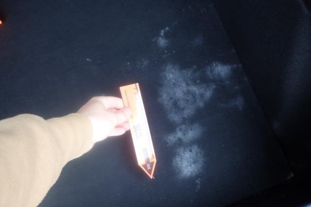 Ford Focus 2019 photo 21