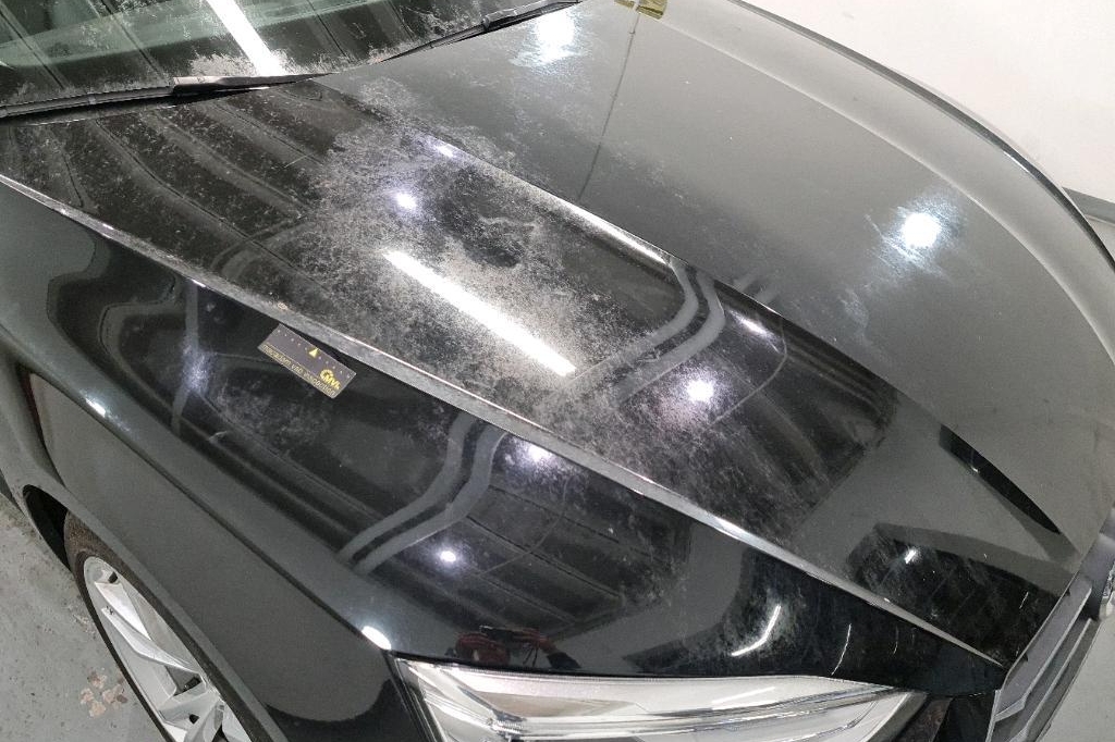 Audi A5 Sportback 2017 фото 15