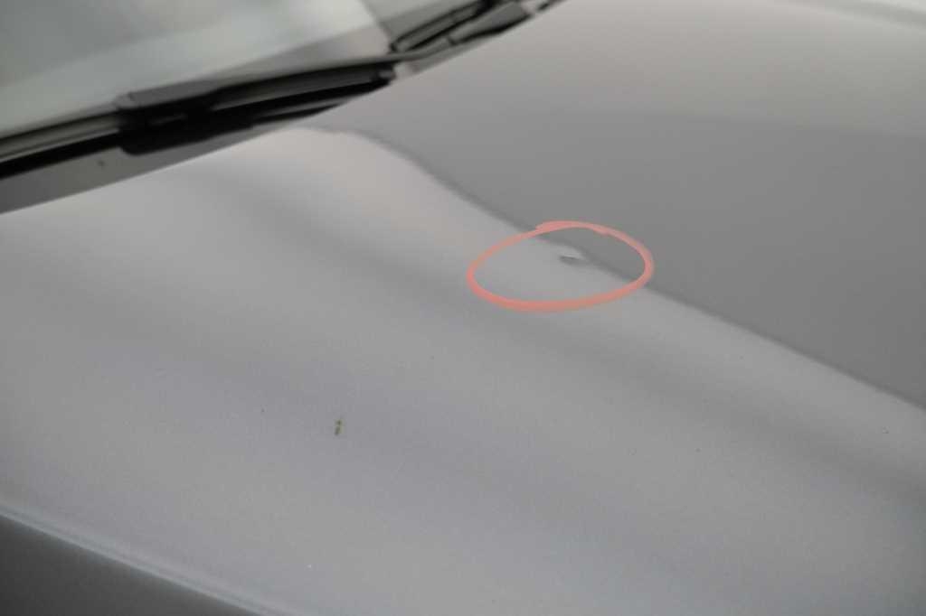 BMW 1er 2019 photo 14