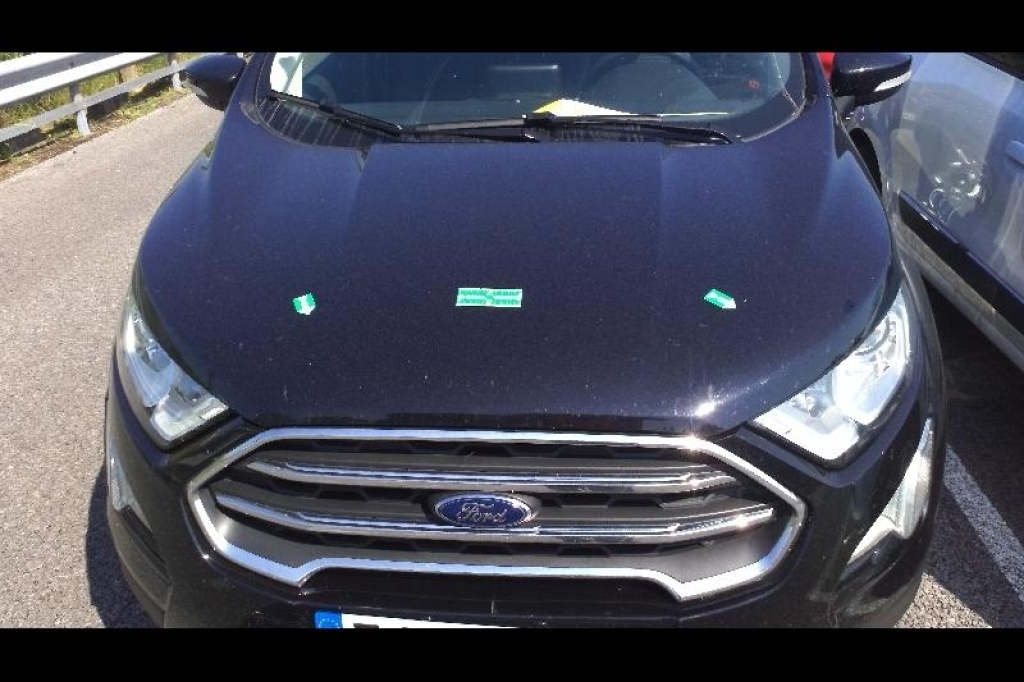 Ford EcoSport 2019 photo 6