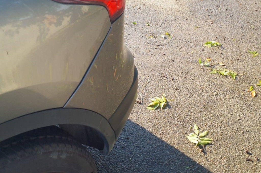 Nissan Qashqai 2017 фото 20