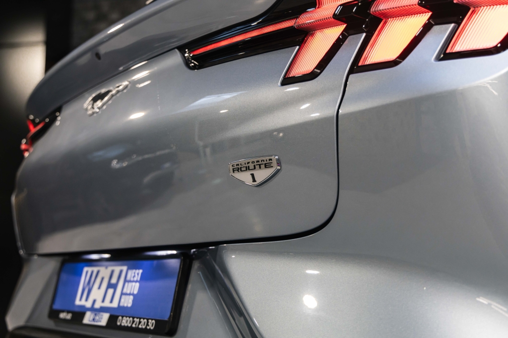 Ford Mustang Mach-E 2022 photo 11