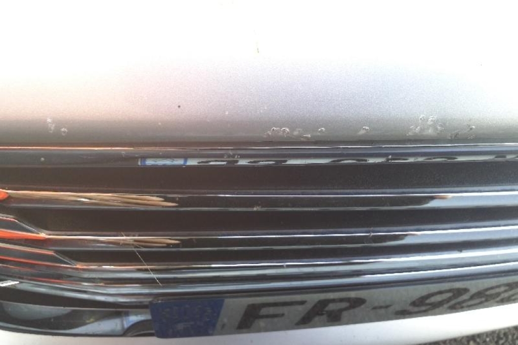 Ford Focus Turnier 2020 фото 7