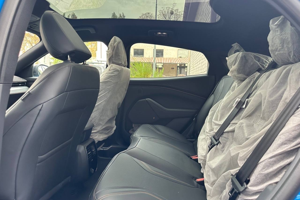 Ford Mustang Mach-E GT 2022 photo 16