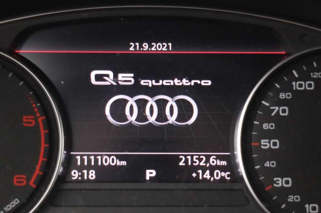 Audi Q5 2017 фото 5