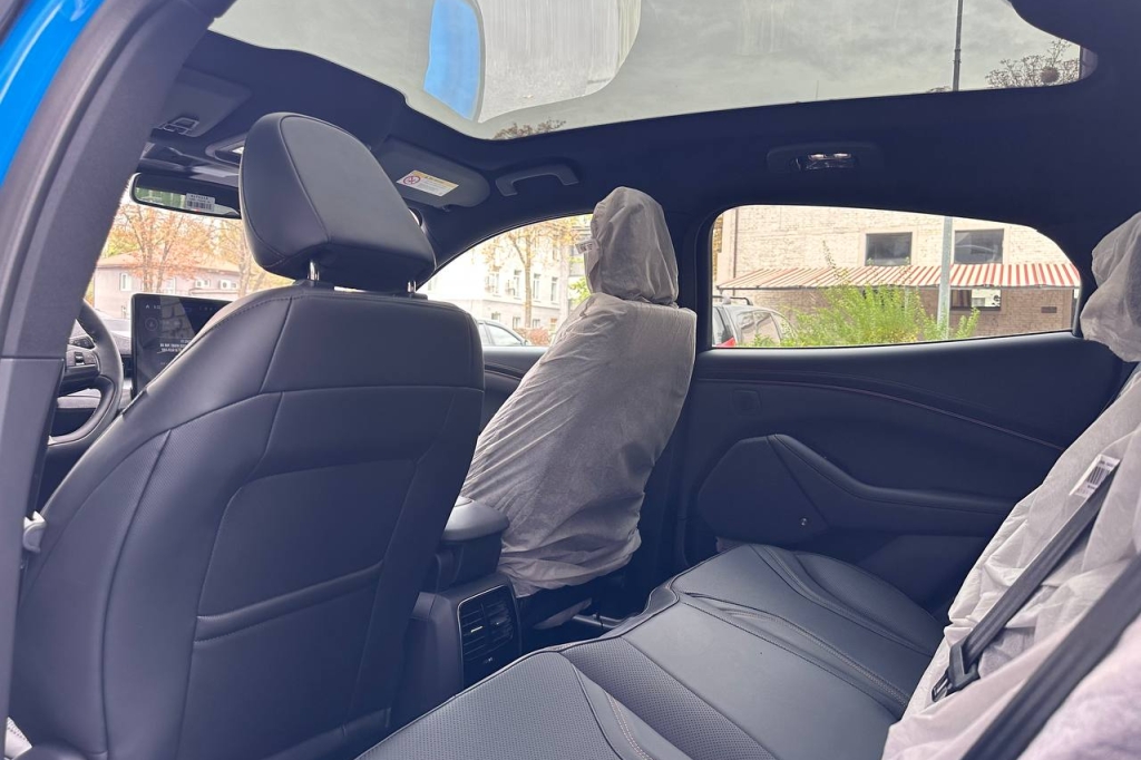 Ford Mustang Mach-E GT 2022 photo 17