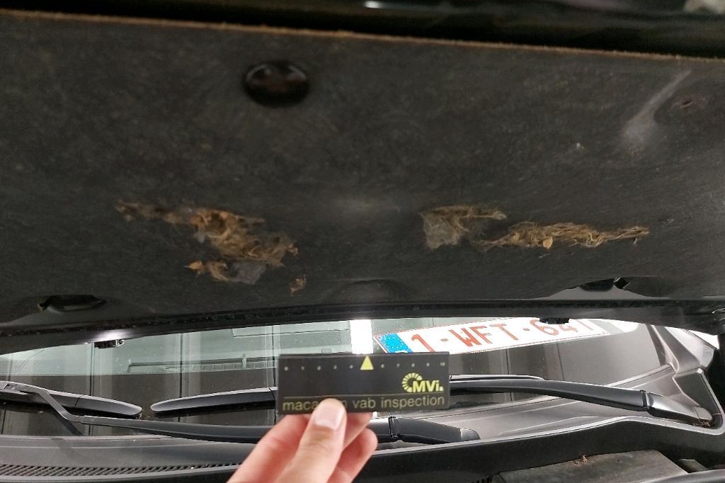 Toyota RAV4 2019 photo 24