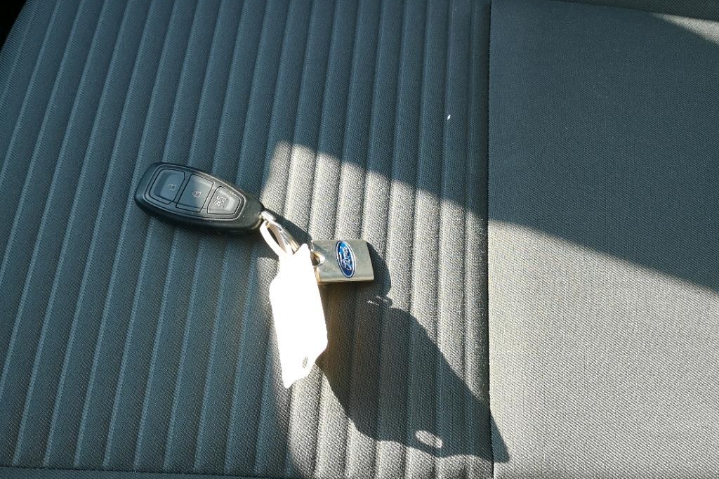 Ford Grand C-MAX 2019 фото 12