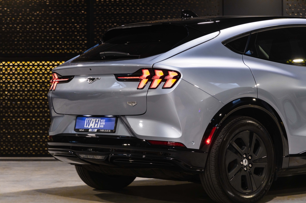Ford Mustang Mach-E 2022 photo 10