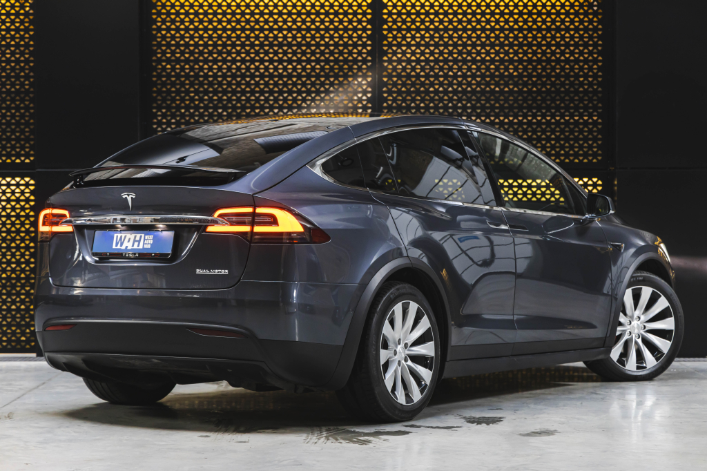 Tesla Model X Dual Motor P100D 2020 photo 5