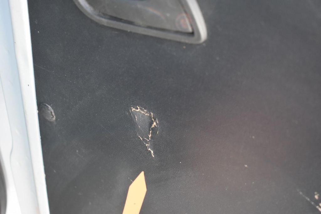 Ford Transit Pritsche 2019 photo 20