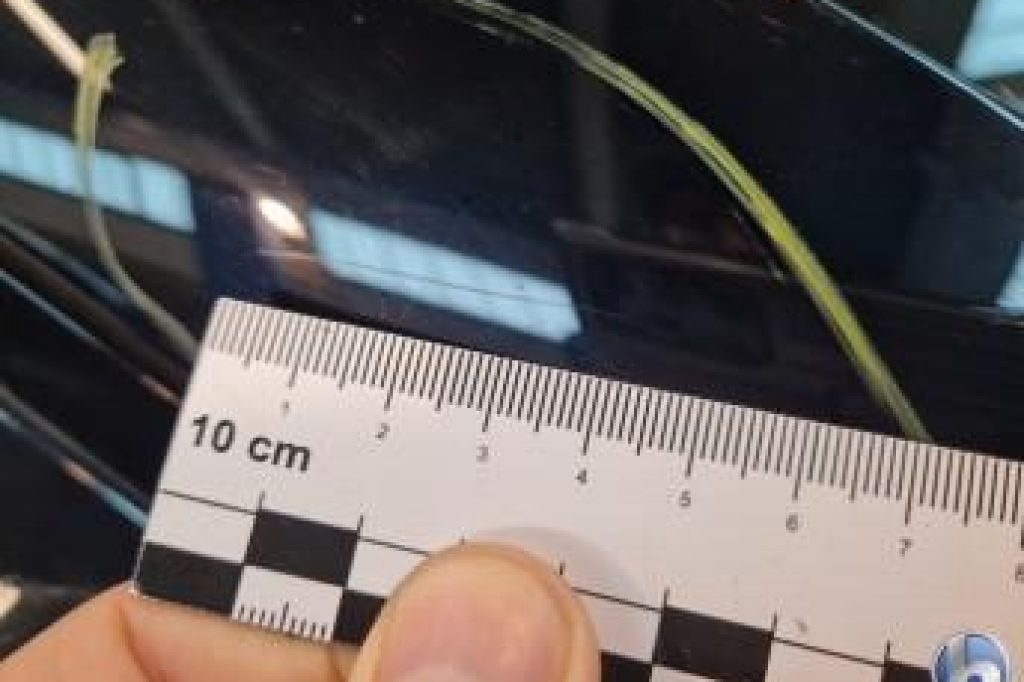 Land Rover Range Rover 2019 фото 9