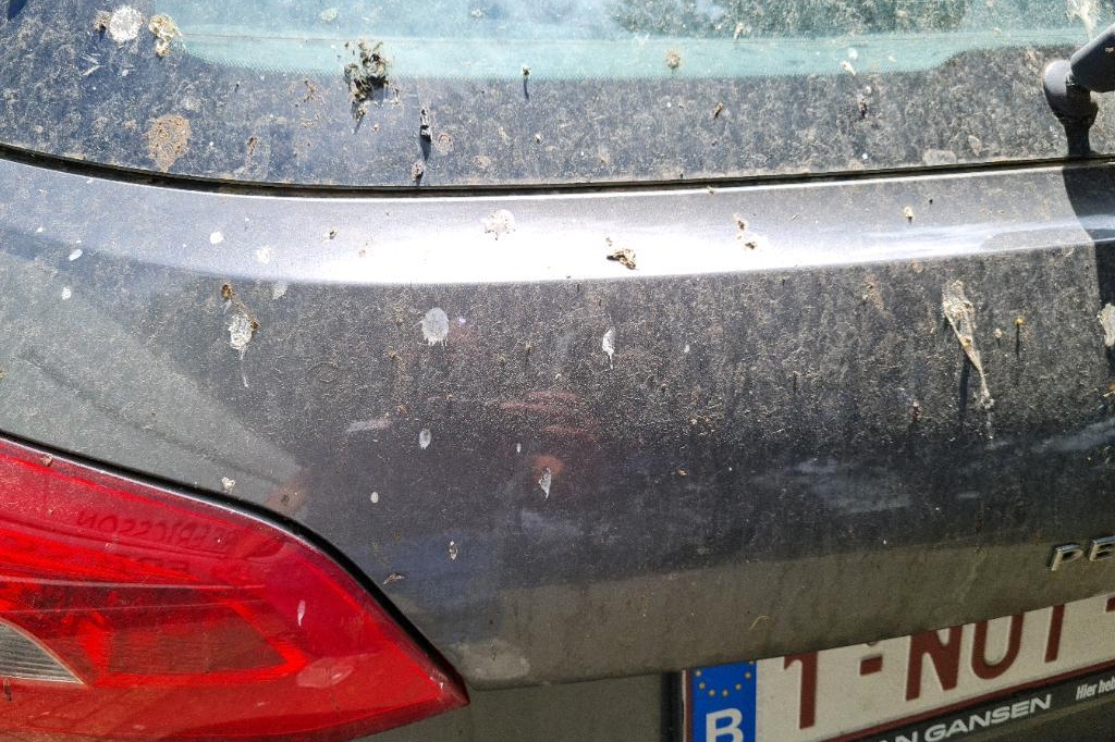 Peugeot 308SW 2016 фото 10