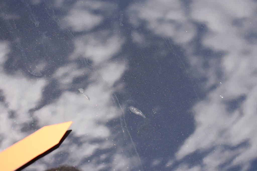 Audi A6 Avant 2016 фото 25