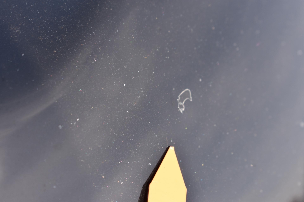 Land Rover Range Rover 2019 фото 19