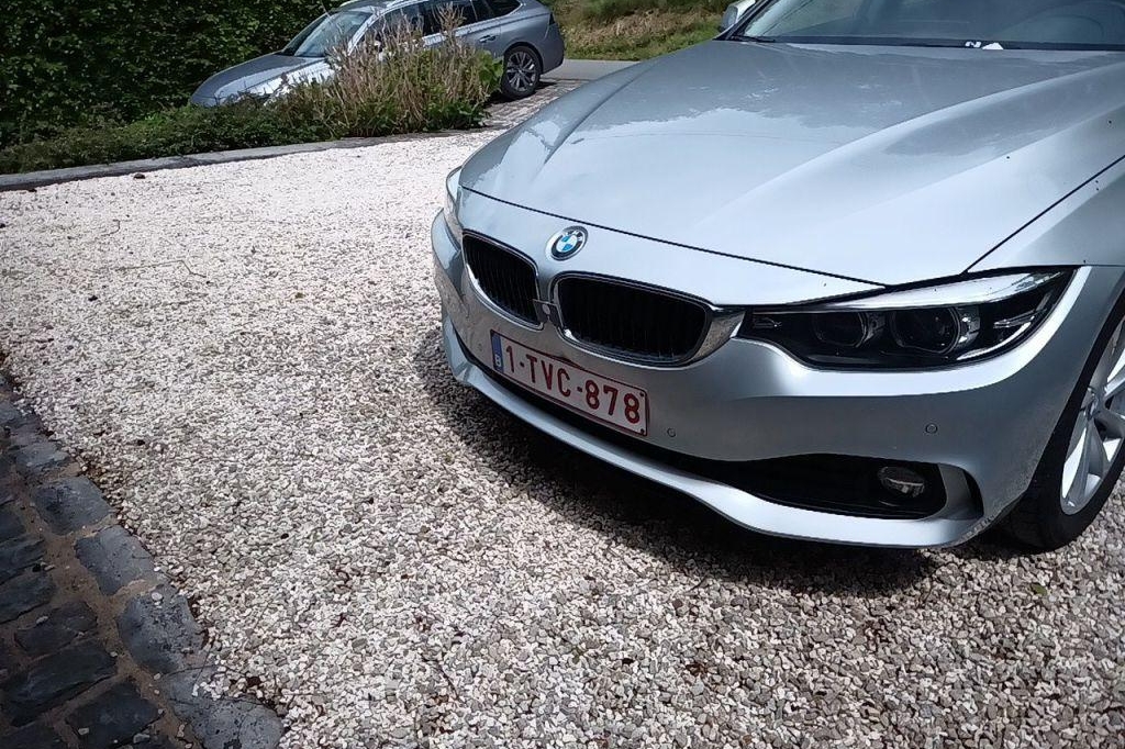 BMW 4er Gran Coupe 2018 photo 13