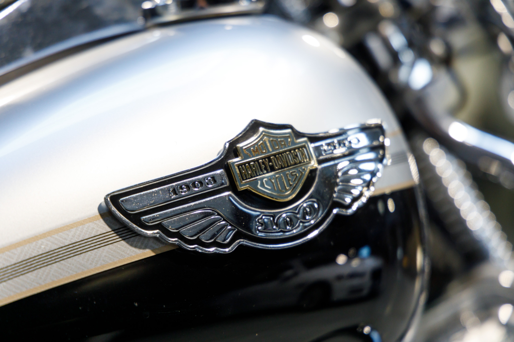 Harley-Davidson 1450 Heritage Softail Springer 2003 фото 15