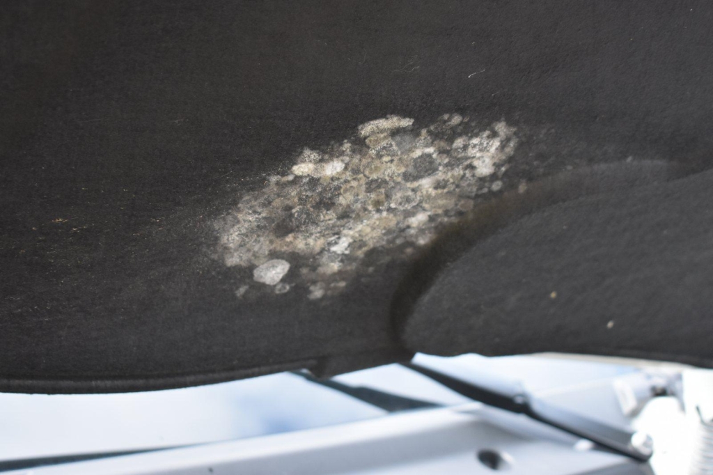 Iveco Daily Koffer 2016 фото 23