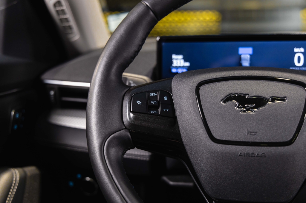 Ford Mustang Mach-E 2022 photo 24