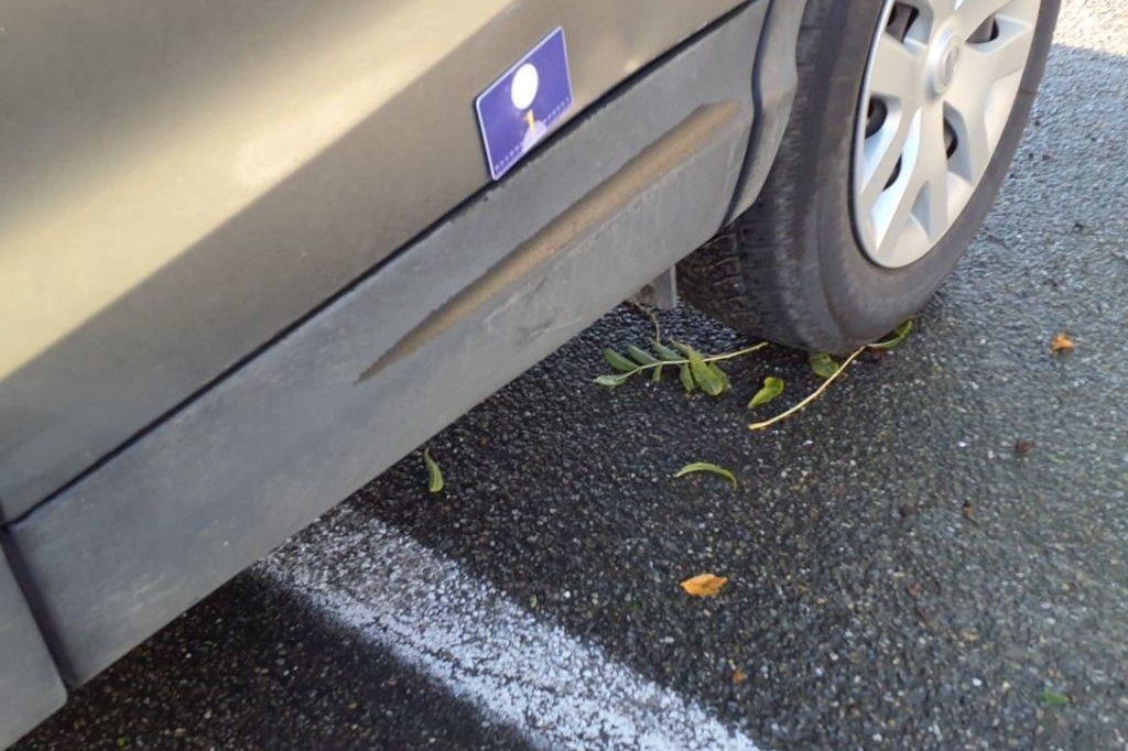 Nissan Qashqai 2017 фото 18