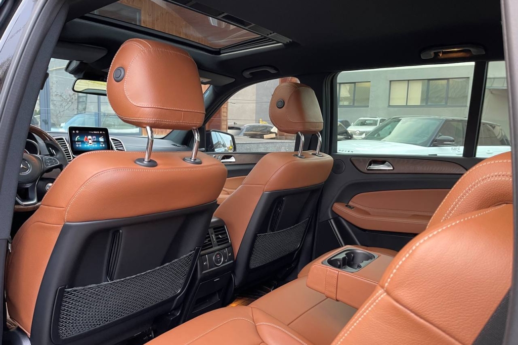 Mercedes-Benz GLS-Class 350 2018 фото 19