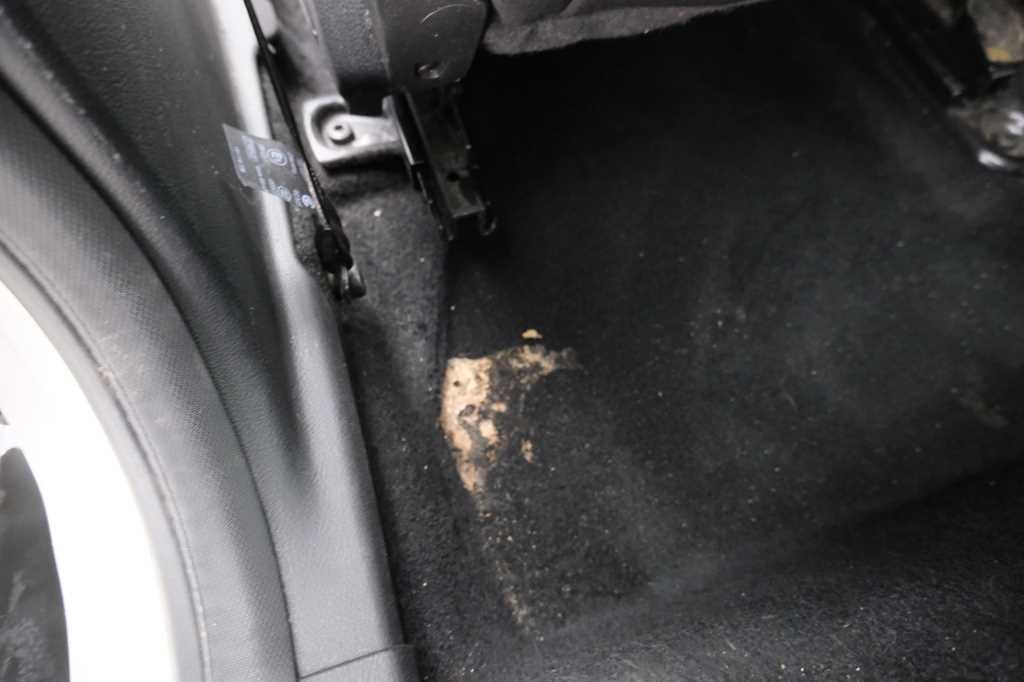 Ford Focus Tunier 2017 фото 20