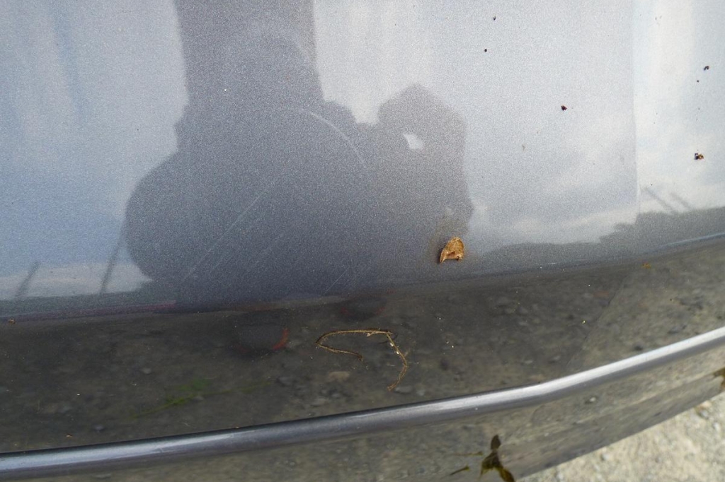 Opel Insignia Sports Tourer 2017 photo 21