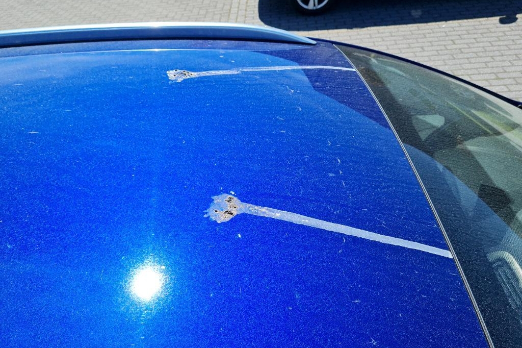 Ford Mondeo Turnier 2018 photo 34